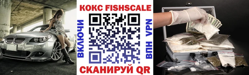 Кокаин Fish Scale  мега ТОР  Гудермес 