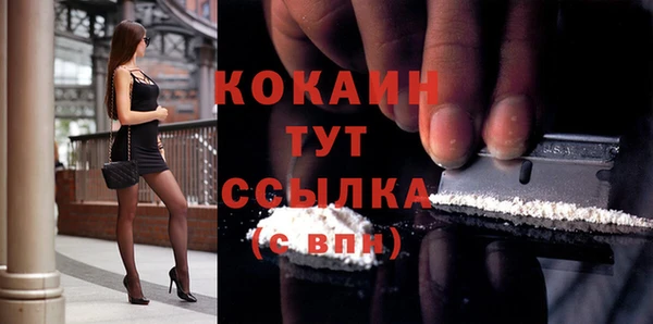 бошки Белокуриха