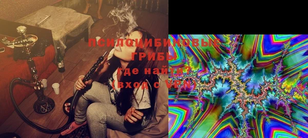 бошки Белокуриха