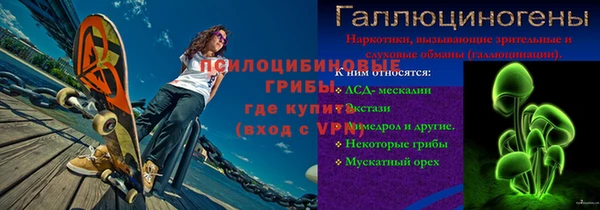 бошки Белокуриха