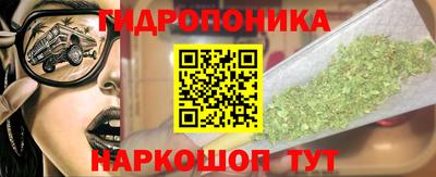 мяу мяу мука Беслан