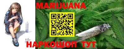 шишки Апшеронск