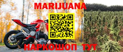 прущие грибы Бийск