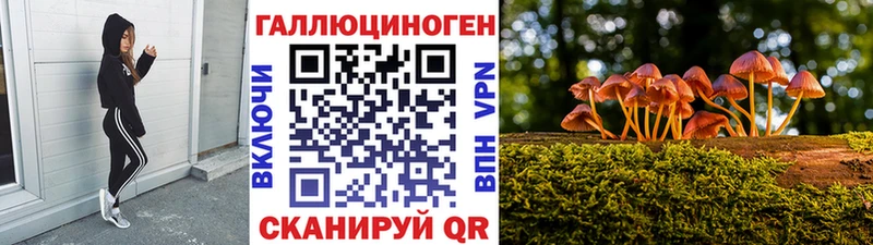 где найти   Гудермес  Галлюциногенные грибы мицелий 