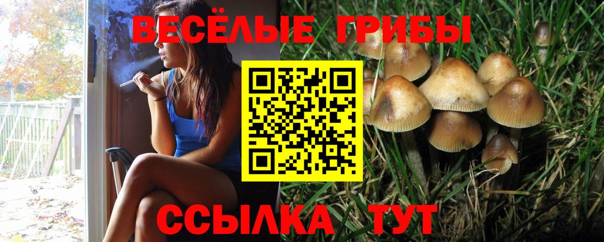 Галлюциногенные грибы Psilocybe  Псилоцибиновые грибы Psilocybine cubensis  где продают   Вход с VPN  Гудермес 