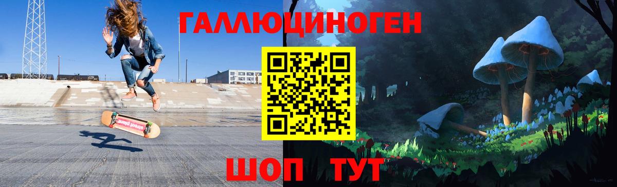 Псилоцибиновые грибы GOLDEN TEACHER Гудермес